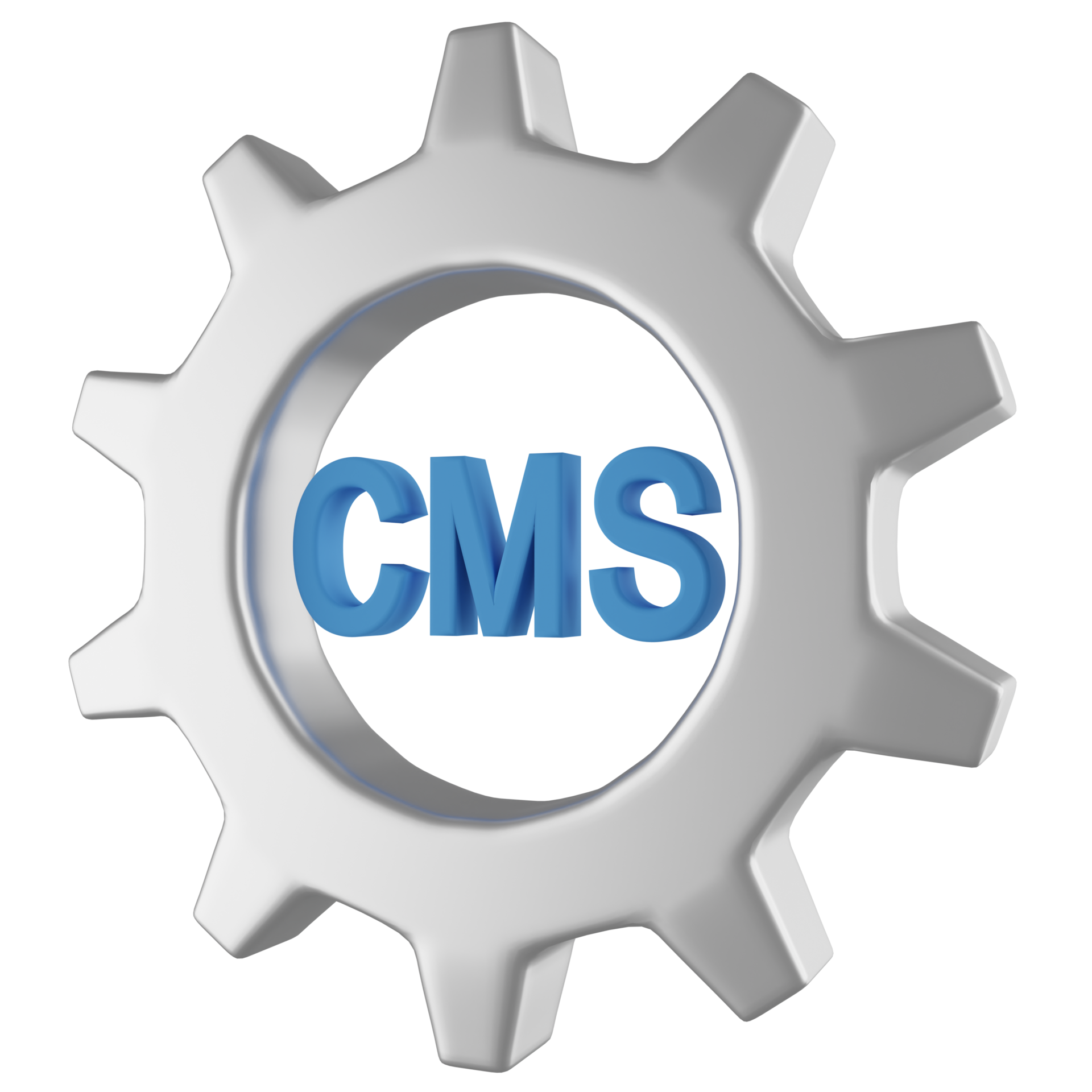 CMS Development