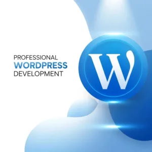 professional wordpress development services by skysol media pakistan