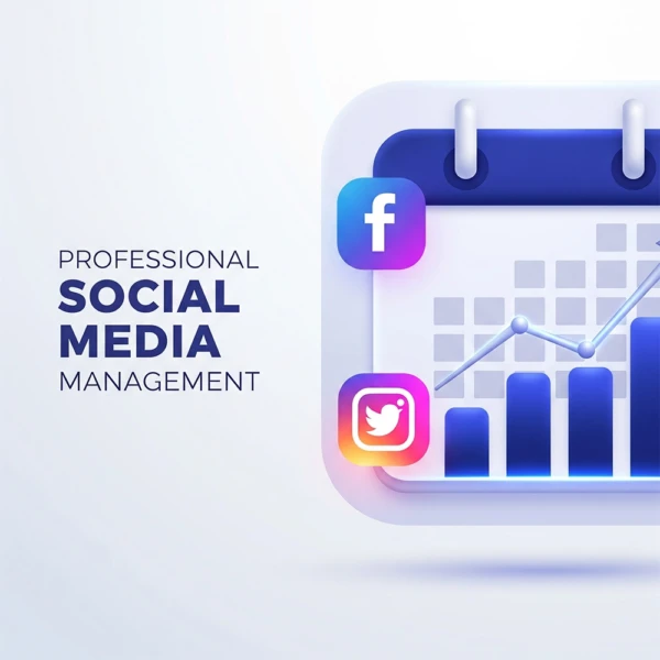 professional social media management services by skysol media