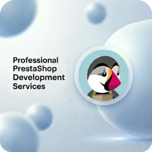 custom module development for prestashop-product page-skysol media pakistan