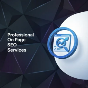 On Page SEO Services 5 on page seo services-product page-skysol media pakistan