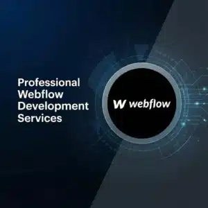 webflow development service-product page-skysol media pakistan