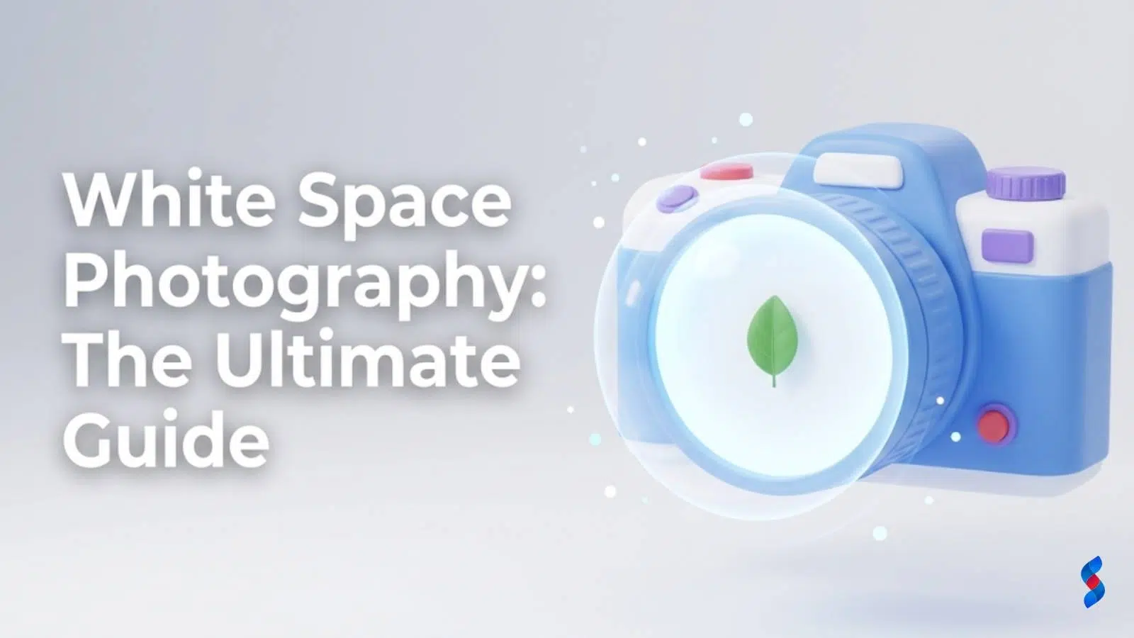 white-space-photography:-the-ultimate-guide